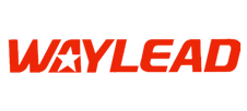 WAYLEAD